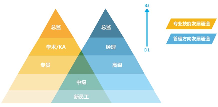 心音人才发展双通道